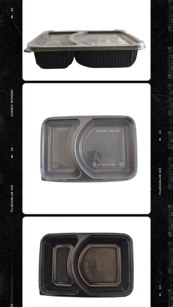 TFT PP Lunchbox 2 Compartment
